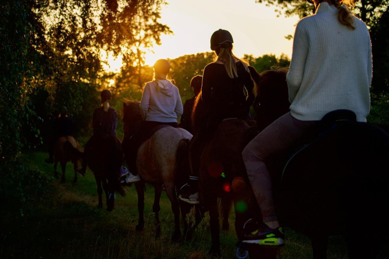 Mörbylånga Oelands Yoga Studio & Islandshaestar, Stugor & Rum المظهر الخارجي الصورة